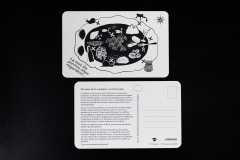 WFM_001_8129_CreditAFL