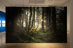 WFM_006_8225_CreditAFL