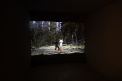 WFM_065_8198_CreditAFL