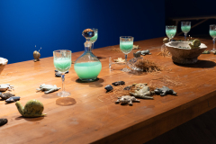 WFM_118_8084_CreditAFL